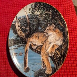 Wildlife Art Decorative Plate